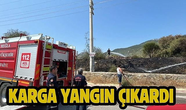 Karga Yangın Çıkardı 
