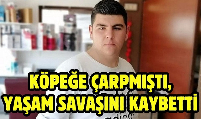 Köpeğe Çarpmıştı, Yaşam Savaşını Kaybetti