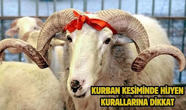 Kurban Kesiminde Hijyen Kurallarına Dikkat