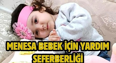Menesa bebek için yardım seferberliği