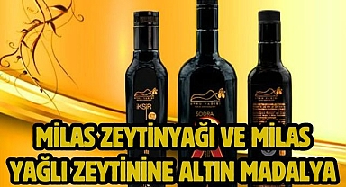 Milas Zeytinyağı ve Milas Yağlı Zeytinine Altın Madalya