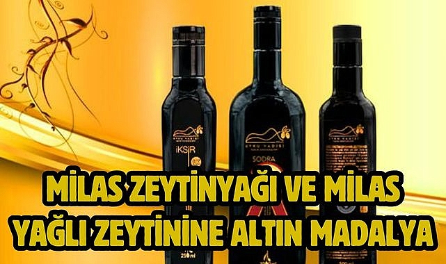 Milas Zeytinyağı ve Milas Yağlı Zeytinine Altın Madalya