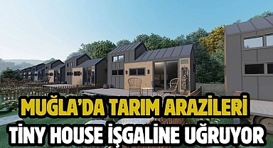 Muğla’da Tarım Arazileri Tiny House İşgaline Uğruyor