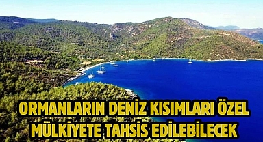 Ormanların deniz kısımları özel mülkiyete tahsis edilebilecek