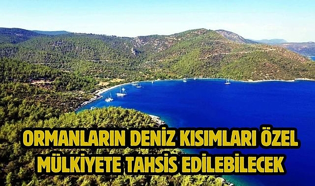Ormanların deniz kısımları özel mülkiyete tahsis edilebilecek