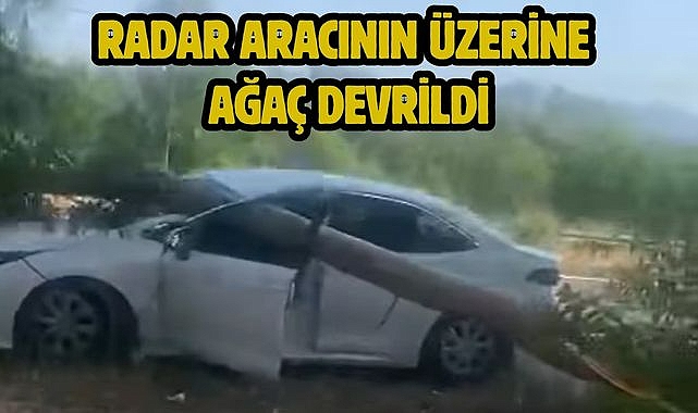 Radar Aracının Üzerine Ağaç Devrildi