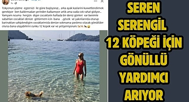 Seren Serengil 12 Köpeği İçin Gönüllü Yardımcı Arıyor