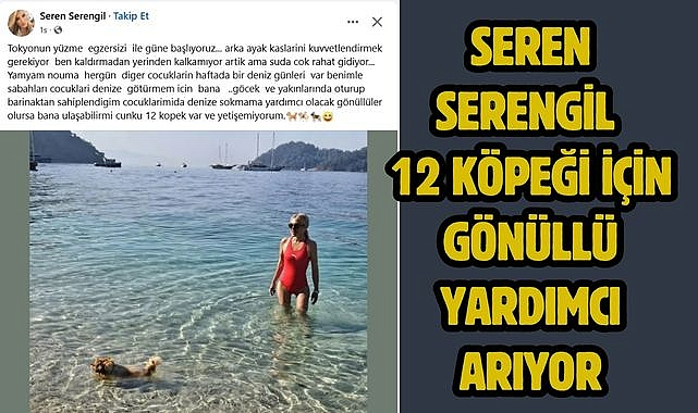 Seren Serengil 12 Köpeği İçin Gönüllü Yardımcı Arıyor