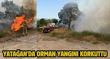 Yatağan'da Orman Yangını Korkuttu