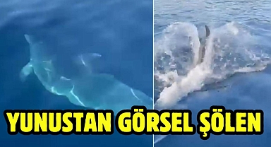 Yunustan Görsel Şölen 