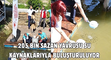 205 Bin Sazan Yavrusu Su Kaynaklarıyla Buluşturuluyor