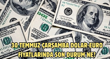 30 TEMMUZ ÇARŞAMBA DOLAR-EURO FİYATLARINDA SON DURUM NE?