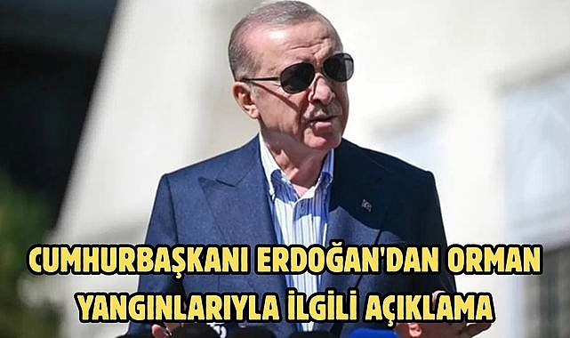 Cumhurbaşkanı Erdoğan'dan orman yangınlarıyla ilgili açıklama