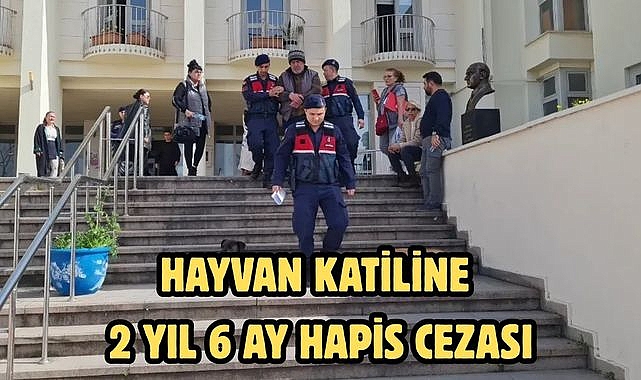 Hayvan katiline 2 yıl 6 ay hapis cezası