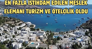 İSTİHDAMIN EN FAZLA OLDUĞU MESLEK GRUPLARI