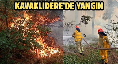 Kavaklıdere’de Yangın