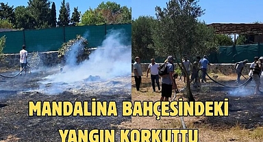 Mandalina bahçesindeki yangın korkuttu