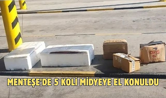MENTEŞE'DE 5 KOLİ MİDYEYE EL KONULDU