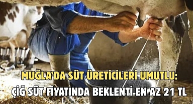 MUĞLA’DA SÜT ÜRETİCİLERİ ENDİŞELİ ÇİĞ SÜT FİYATINDA BEKLENTİ EN AZ 21 TL