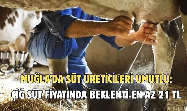 MUĞLA’DA SÜT ÜRETİCİLERİ ENDİŞELİ ÇİĞ SÜT FİYATINDA BEKLENTİ EN AZ 21 TL