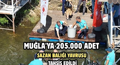 Muğla'ya 205.000 adet sazan balığı yavrusu tahsis edildi