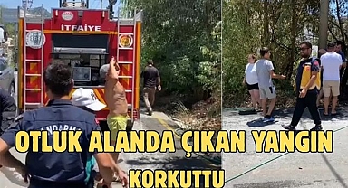 Otluk Alanda Çıkan Yangın Korkuttu