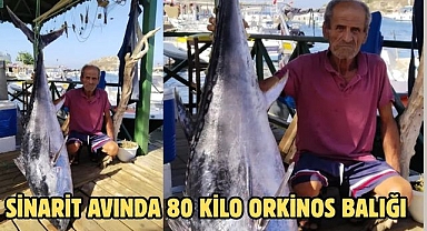SİNARİT AVINDA 80 KİLO ORKİNOS BALIĞI