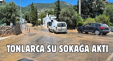 Tonlarca su sokağa aktı