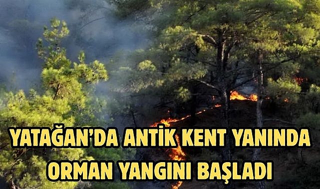 Yatağan'da antik kent yanında orman yangını başladı
