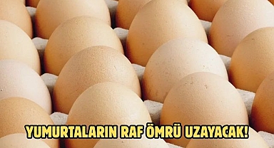 YUMURTALARIN RAF ÖMRÜ UZAYACAK!