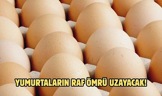 YUMURTALARIN RAF ÖMRÜ UZAYACAK!