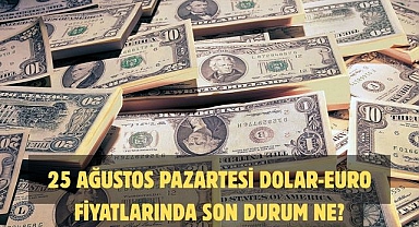 25 AĞUSTOS PAZARTESİ DOLAR-EURO FİYATLARINDA SON DURUM NE?