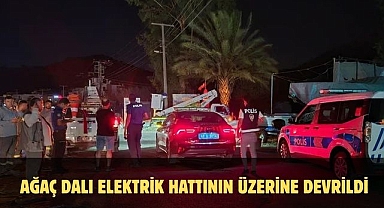 Ağaç Dalı Elektrik Hattının Üzerine Devrildi