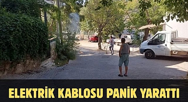 Elektrik kablosu Panik Yarattı