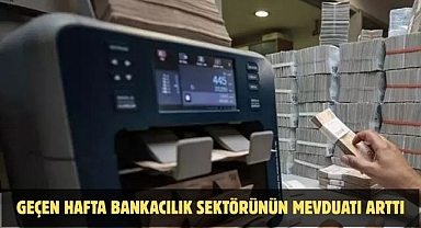 GEÇEN HAFTA BANKACILIK SEKTÖRÜNÜN MEVDUATI ARTTI