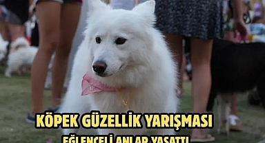 Köpek Güzellik Yarışması Eğlenceli Anlar Yaşattı