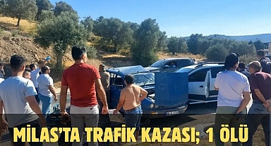Milas'ta Trafik Kazası; 1 Ölü