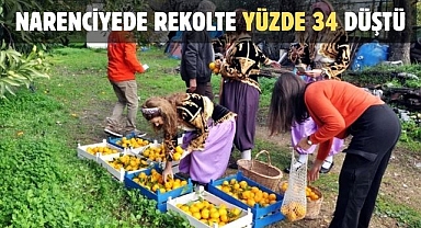 NARENCİYEDE REKOLTE YÜZDE 34 DÜŞTÜ