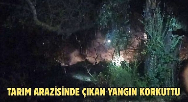 Tarım Arazisinde Çıkan Yangın Korkuttu