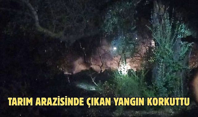 Tarım Arazisinde Çıkan Yangın Korkuttu