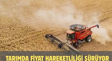 Tarımda fiyat hareketliliği sürüyor