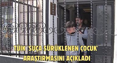 TÜİK 'suça sürüklenen çocuk' araştırmasını açıkladı