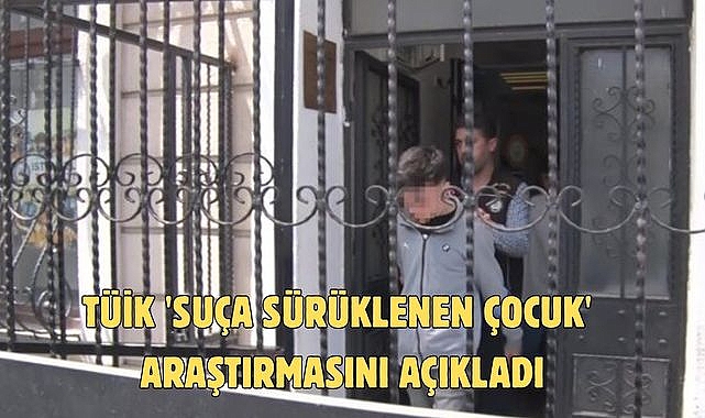 TÜİK 'suça sürüklenen çocuk' araştırmasını açıkladı