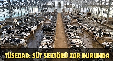 TÜSEDAD: SÜT SEKTÖRÜ ZOR DURUMDA
