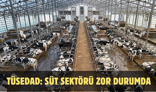 TÜSEDAD: SÜT SEKTÖRÜ ZOR DURUMDA