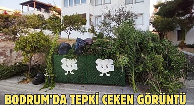 Bodrum’da Tepki Çeken Görüntü