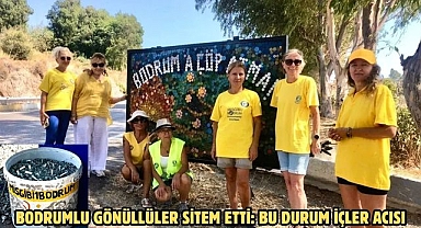 Bodrumlu Gönüllüler Sitem Etti: Bu Durum İçler Acısı