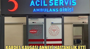 KARDEŞ KAVGASI ANNEYİ HASTANELİK ETTİ