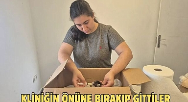 Kliniğin Önüne Bırakıp Gittiler