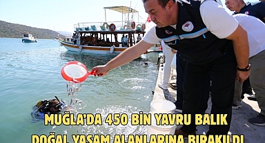 Muğla'da 450 bin yavru balık doğal yaşam alanlarına bırakıldı